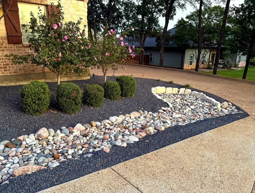 Landscape bed with crepe myrtles, boxwoods and river rock along a North Texas driveway